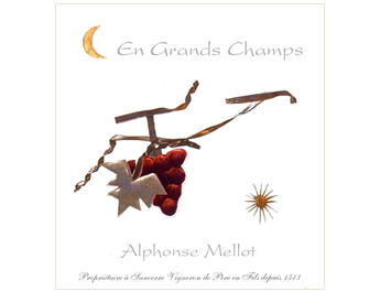 Alphonse Mellot - Sancerre - En Grands Champs - Rouge 2010