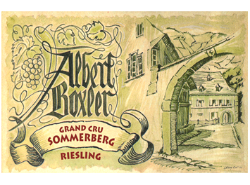 Domaine Albert Boxler - Alsace grand cru - Riesling Grand Cru Sommerberg « JV » - Blanc - 2018