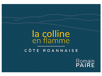 Domaine des Pothiers - Côte Roannaise - La colline en flamme - Rouge - 2017