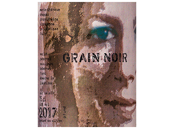 Domaine Marie Thérèse Chappaz  - Valais - Grain Noir - Rouge - 2017