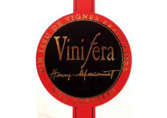 Henry Marionnet - Touraine - Vinifera Rouge 2010