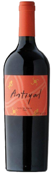Antiyal - Valle de Maipo - Rouge - 2010