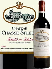 Château Chasse-Spleen - Moulis en Médoc - Rouge 1996