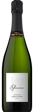 Champagne Stéphane Coquillette - Champagne Brut - Inflorescence - Bianco